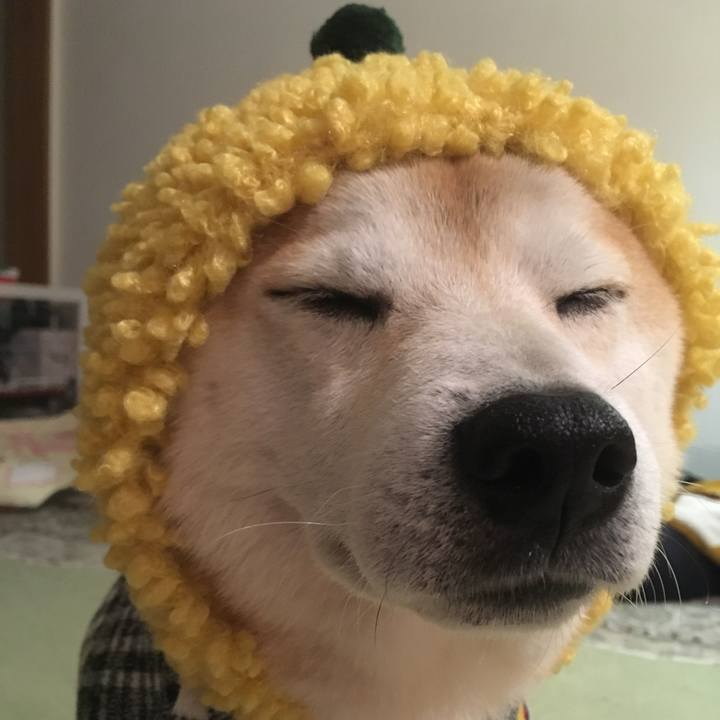 E0f73916 1078 45ee bf1f af8a90e07e23 1769898666265