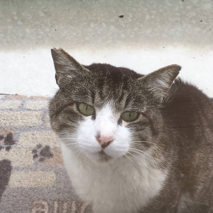 E0f73f61 9a09 4071 be7d 128cb77ebb71 1529391743942