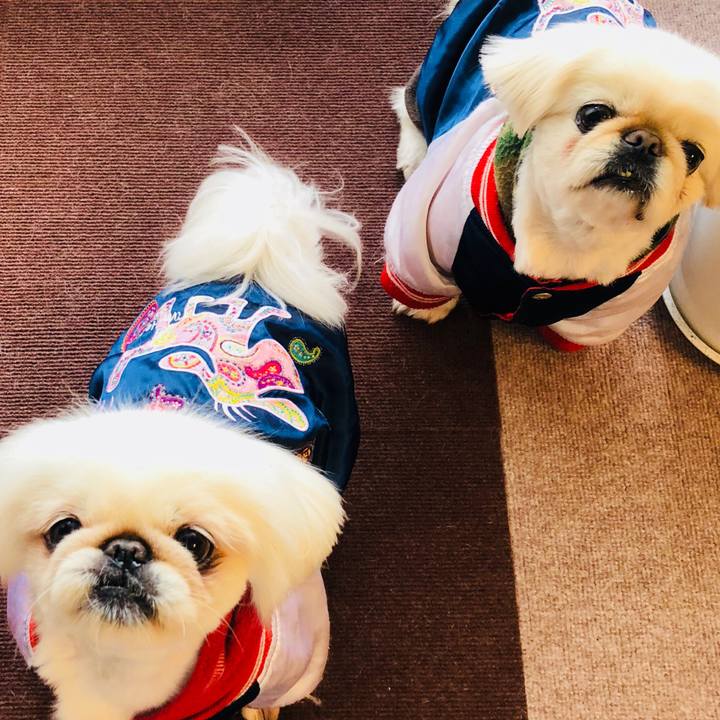 E0f74b5b 38de 44a5 ac39 84e9337ae26e 1613122087034