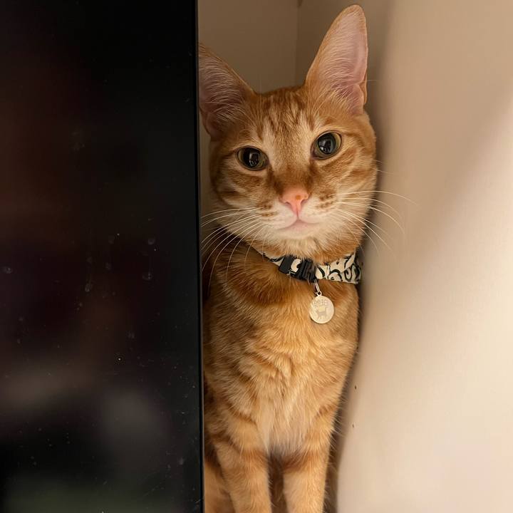 E0f760b8 c2c5 4266 9454 114d346c7a7f 1649041108431