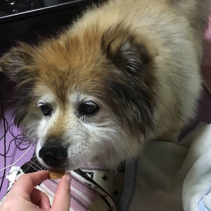 E0f77930 f316 432a 956e 1d6108fe82e5 1621350414362