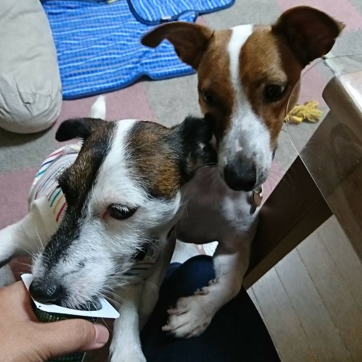 E0f78df5 10f3 4126 a201 0649a21a3ce8 1532822380538