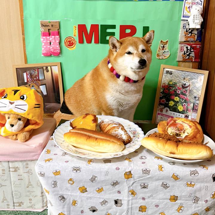 E0f7e01e d823 4083 a18a 23a5cb9f2930 1655275980386