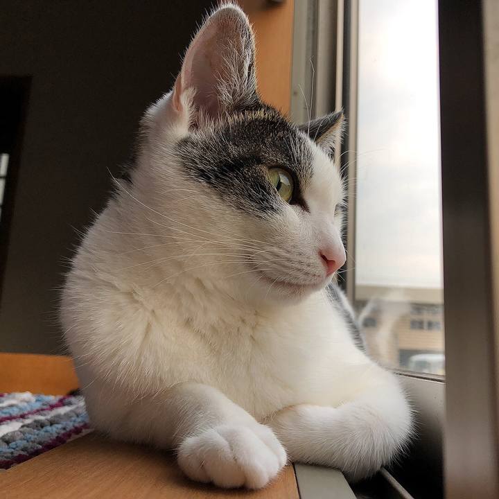 E0f84e0f 9782 4e40 9250 8cc4bf2f6bff 1660427133096