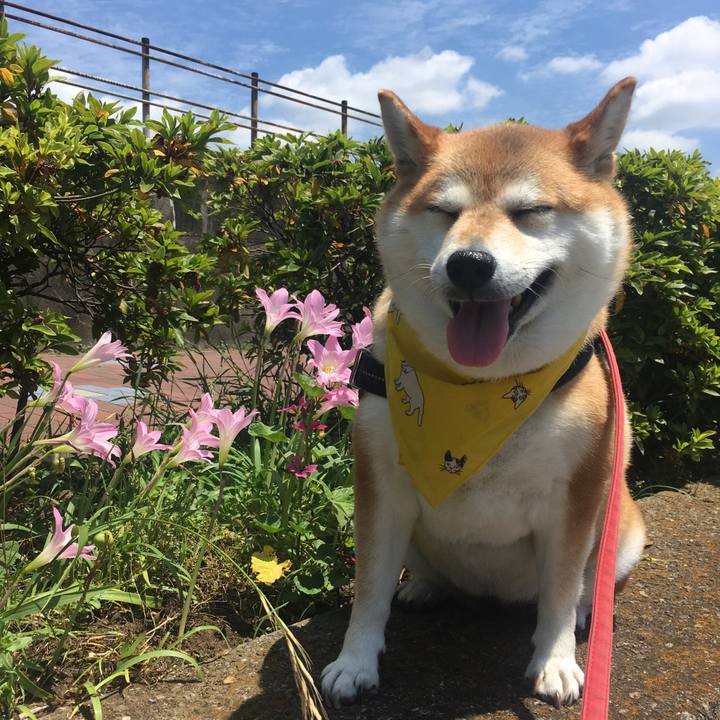 E0f84ea8 650c 4cb8 a6d6 1b3560f016d2 1623981535855