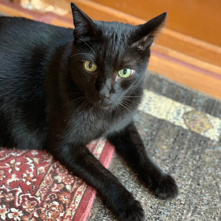 E0f87024 c923 496f 94b1 3deeb0c3fdc8 1572052319057