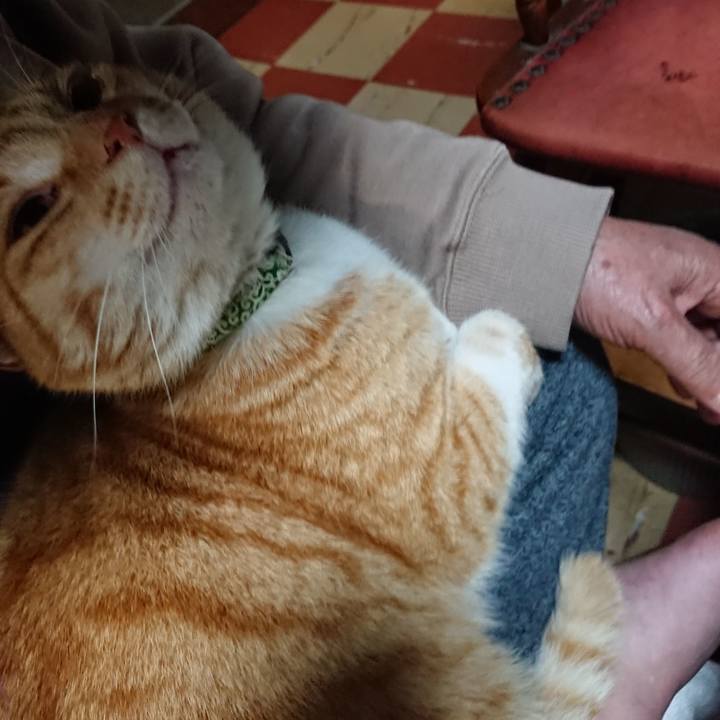 E0f8bd9e 675c 43e8 8681 4455716fb7fe 1586170763895