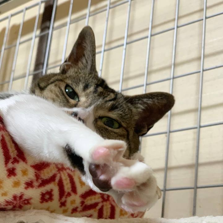 E0f8c1f6 f48e 4d68 a5cb 2c51406bfccd 1588812669096