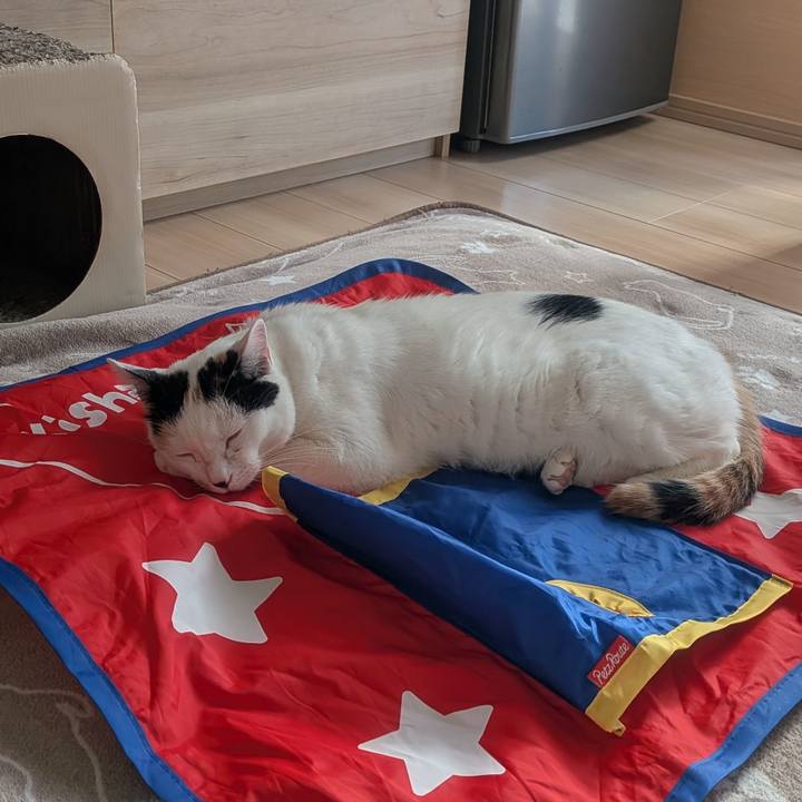 E0f8dab0 aab3 4f6b abee 054fcfb2566e 1767886101061