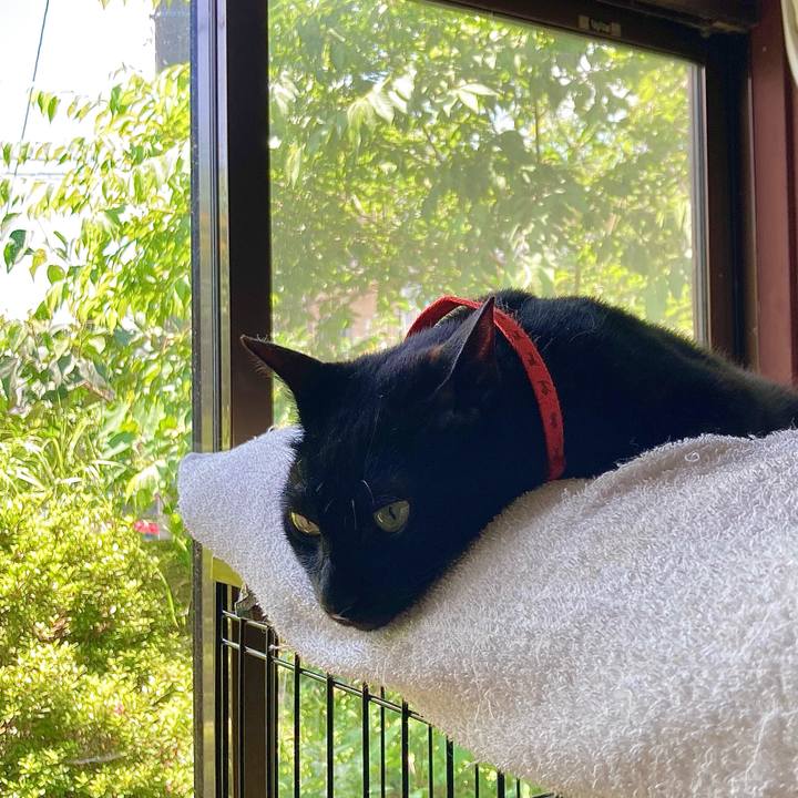 E0f8dc05 628a 4926 935e 87df4314b701 1688683263668