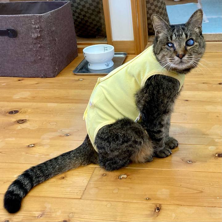 E0f93675 4f5f 4e2c b667 f917c328ba1f 1685137076276