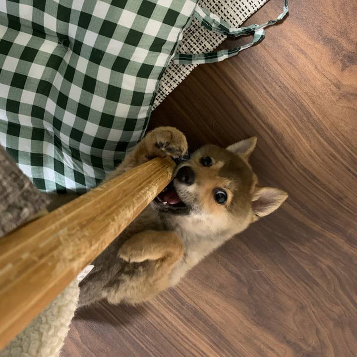 E0f9b415 46db 4bf2 be91 a1d450d18d95 1618143083736