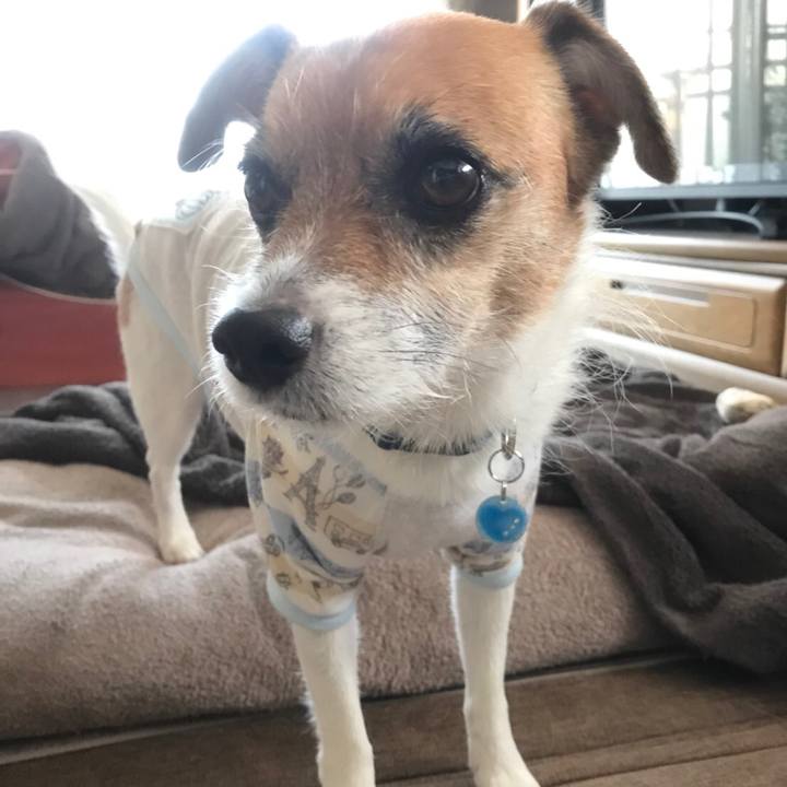 E0f9c178 cad0 4793 806c 88c761d8405d 1509573194060