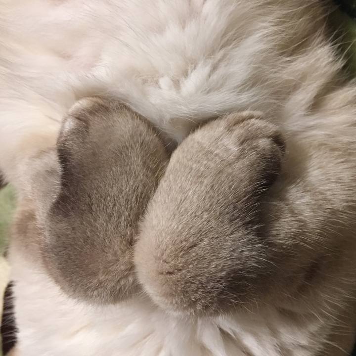 E0f9dee3 e459 436f aaa6 d5c612913c37 1579739913045