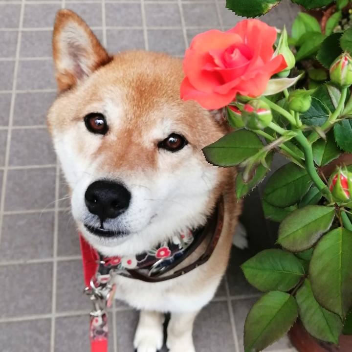 E0fa043d 770d 4e1e a2a4 1d23a1bf2726 1592470998687