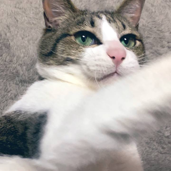 E0fa100f ad12 4a80 99ee ad668117539c 1585305217031