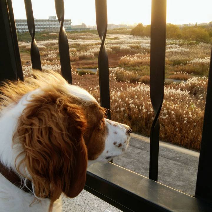 E0fa37d2 d814 4e7a a039 8114d2c6a8ad 1543566058241