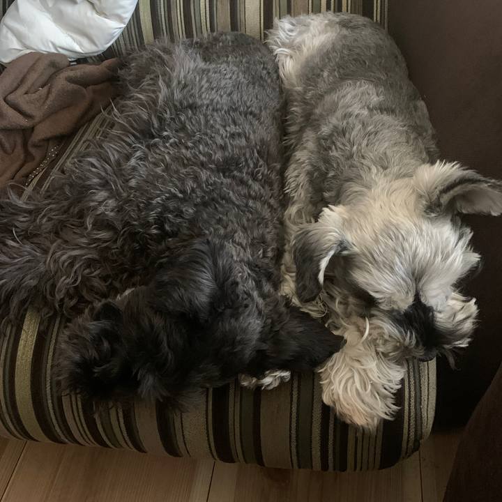 E0fa6e89 cfba 4e8d a918 965fd784bc7c 1642829008821