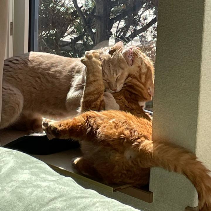 E0fa88c3 abf8 47e5 9551 1e73ac03a3a1 1678014228725