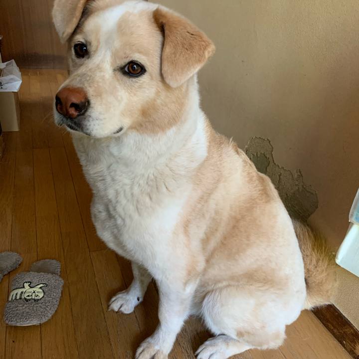 E0fac29c d103 4add 8cc7 5df707cb06aa 1590535272820