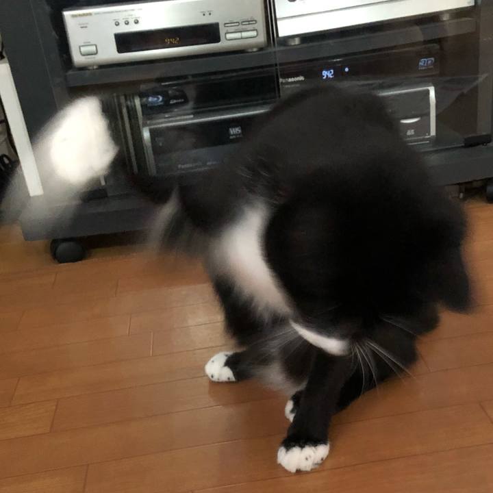 E0fac722 88fa 435e 8788 64e18b91d211 1570679224406