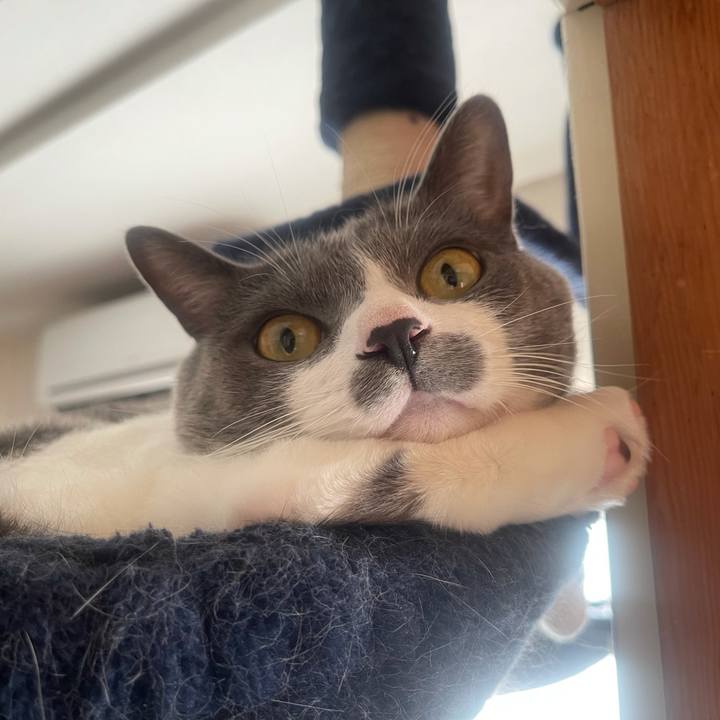 E0fae55b c236 4fe5 b804 160fa4d0df85 1639351524380