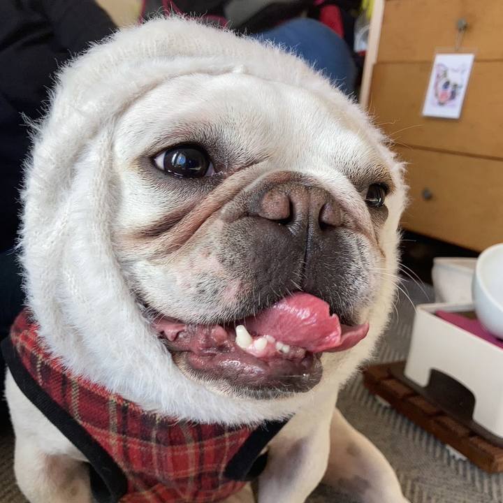 E0faea86 ff33 4245 b46f 9a2d38fd3335 1706254551972