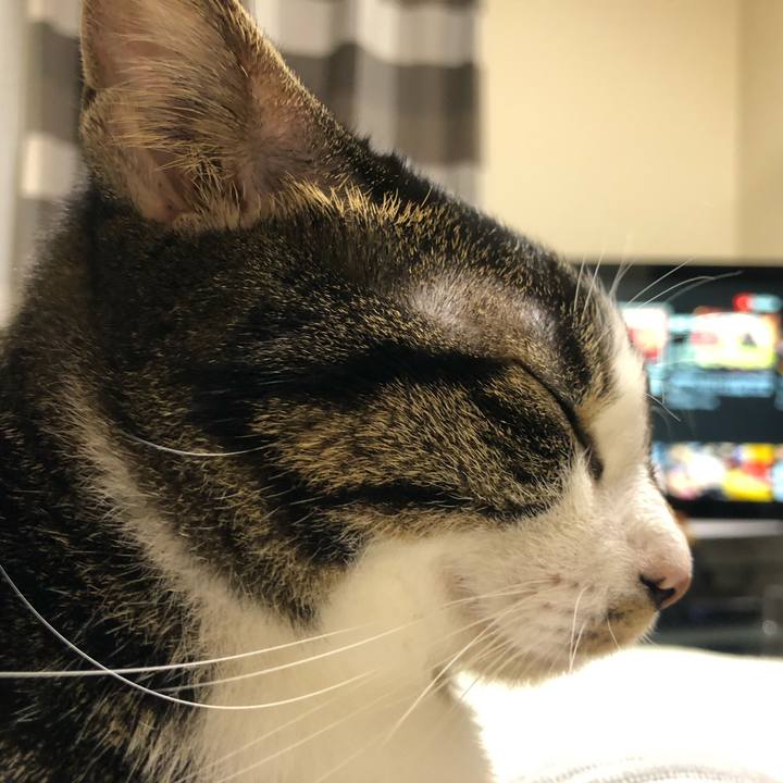 E0faf4f6 f149 4611 84aa 23d2a72c707f 1602419220340