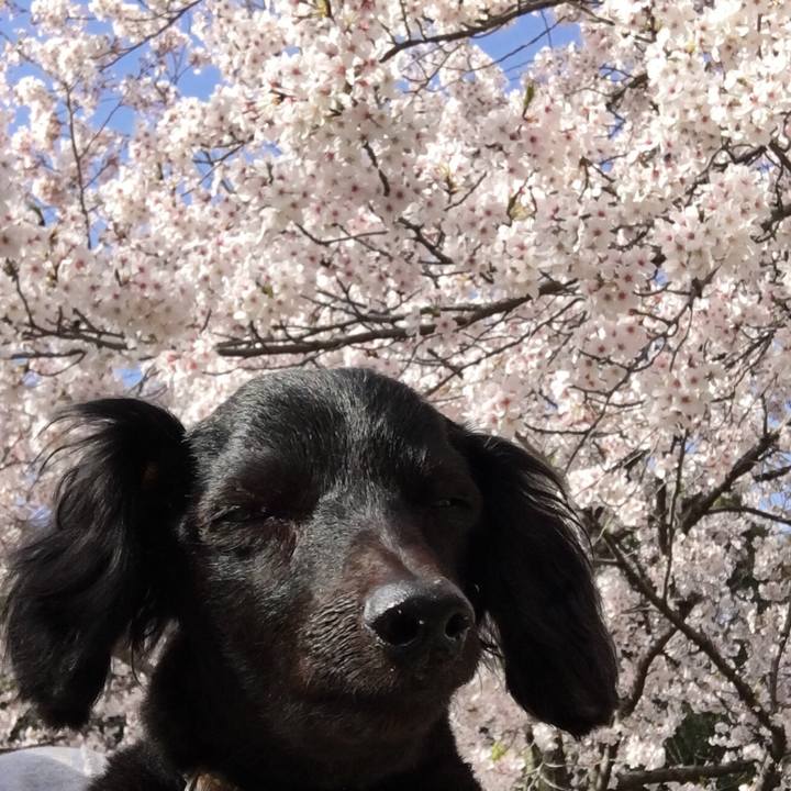 E0fb362b 40b1 4214 8130 d7a7d1915010 1522375189305