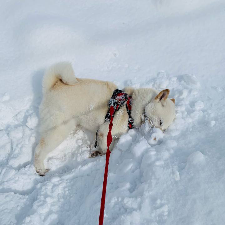 E0fb594c 0432 4153 95d6 64de25371811 1612926320080