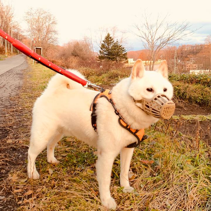 E0fb5c28 837a 4c16 9fa5 4f9475f84eb8 1669156422670