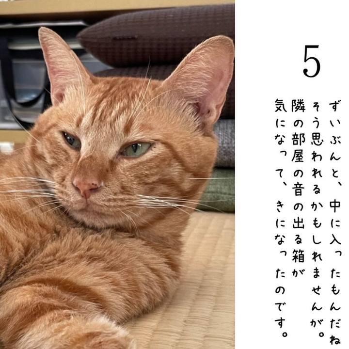 E0fb8374 7b71 4352 8826 97081e0178de 1785931107031