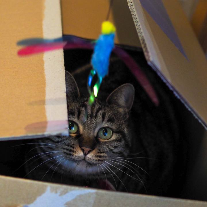 E0fb9446 c875 4234 a325 bfb0d781a718 1610510393427