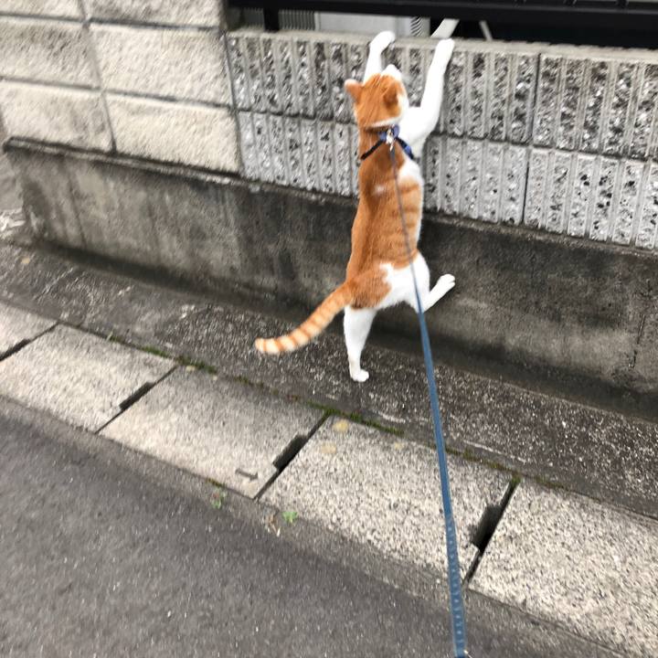 E0fb9d94 b707 4f18 a813 e30a40263104 1563440975542