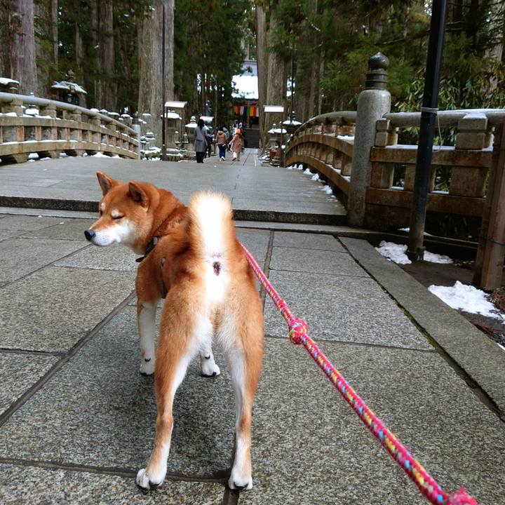 E0fba18c 430c 4fe4 b9da 774f0412201d 1767079408246