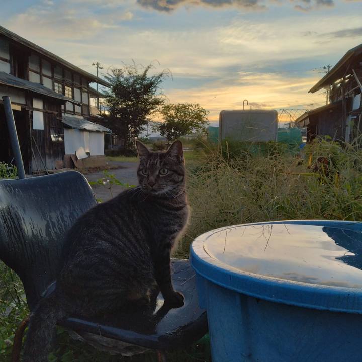 E0fbb004 17ca 4605 8bc9 391128910e57 1663534505645