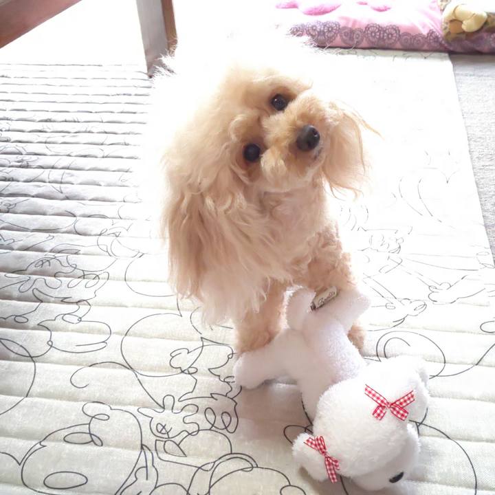 E0fbb216 0636 424d 9852 cf0578ec21b8 1569638229954