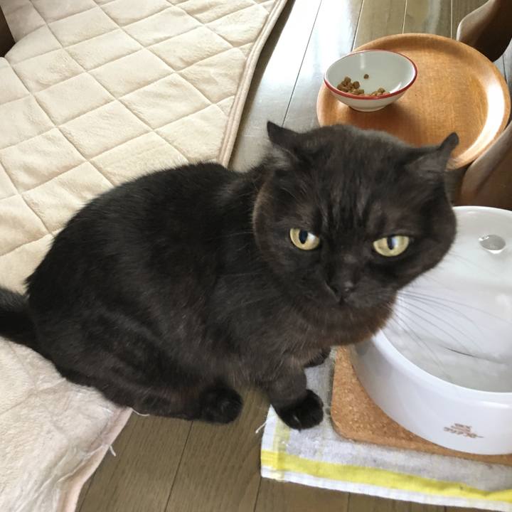 E0fbcd5e 02bc 48da 9f6a fab459af8a55 1527898171325