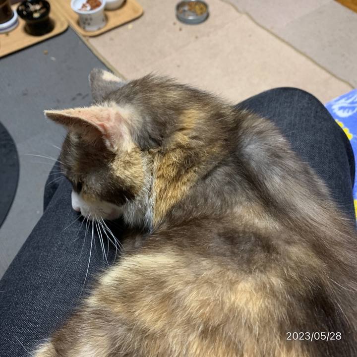 E0fc1ff2 2689 4713 a6e1 1b55bffe29cc 1685282946658