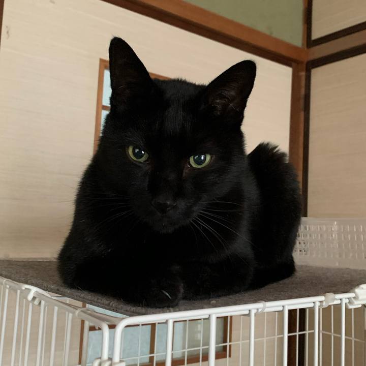 E0fc205b c592 4c3f 9db7 2c6963c7eb40 1579656348013