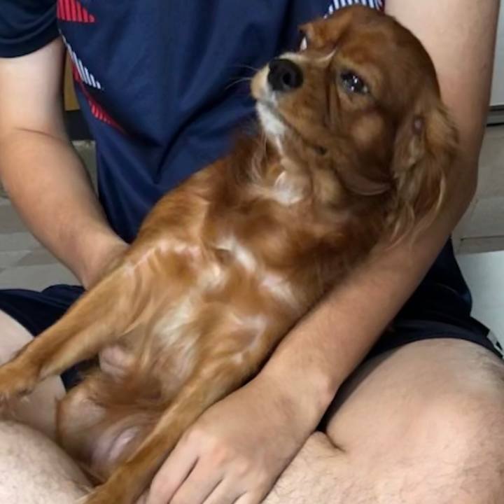 E0fc3f70 af36 4869 a333 435b189106d0 1569967425628