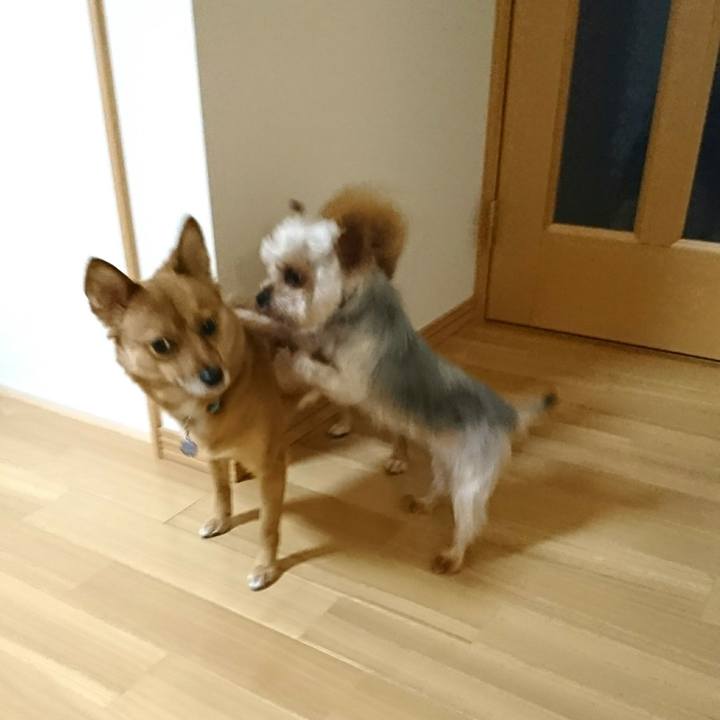 E0fc40e5 14f1 4afc 922d f596a840535a 1514675414145