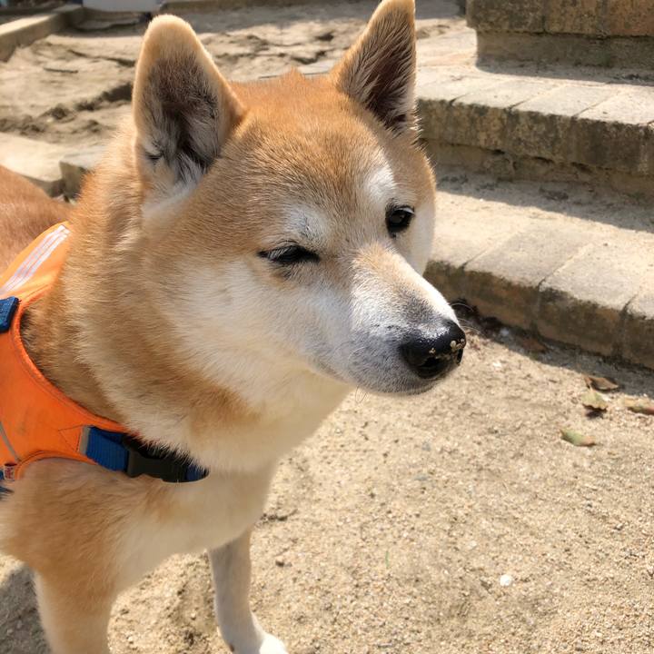 E0fc5078 9a36 4c7e a8fb 6ec84e352f76 1584331145915