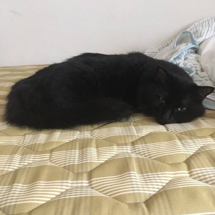 E0fc5805 6b01 428d 91f5 670dbe0f4938 1534371902246