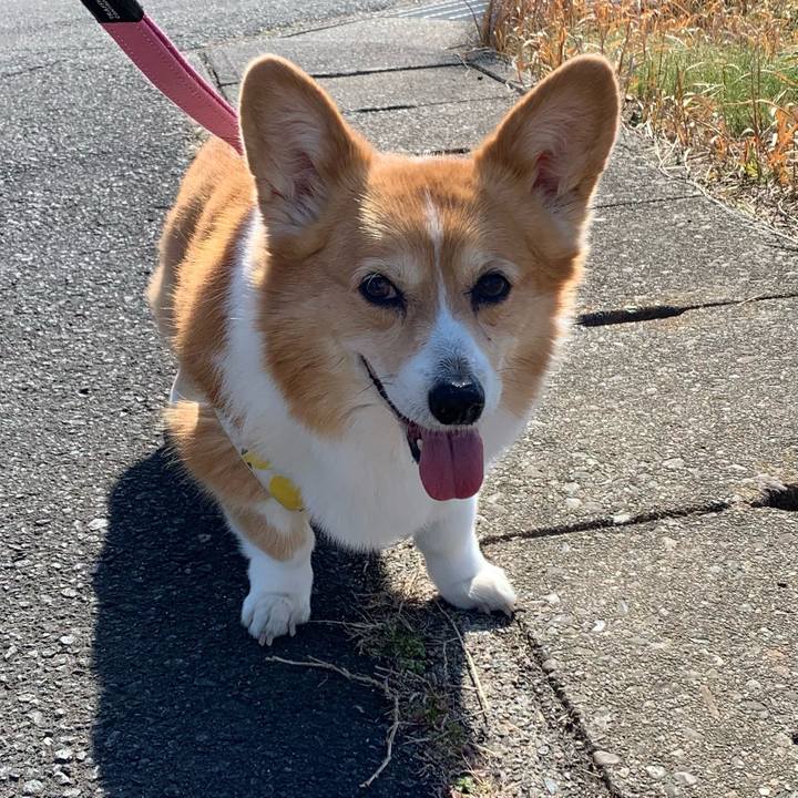 E0fc87aa f462 4a4e 9fec 143a9e461211 1707880511883