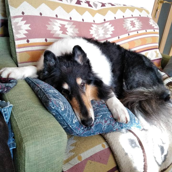 E0fca369 cccb 4ade 830c e83b1f7c77ba 1543500279082