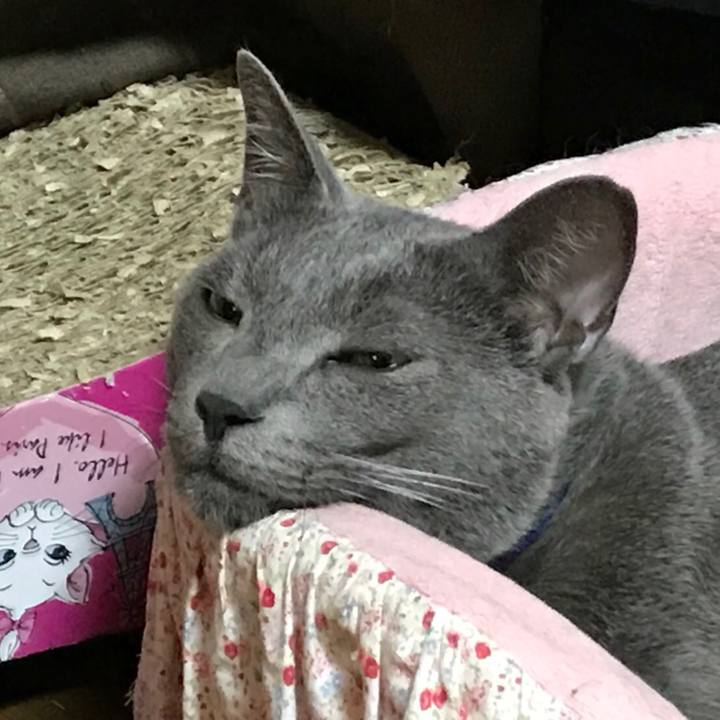 E0fcbabf 8664 43a0 abf1 dfd1eda65983 1520503918685