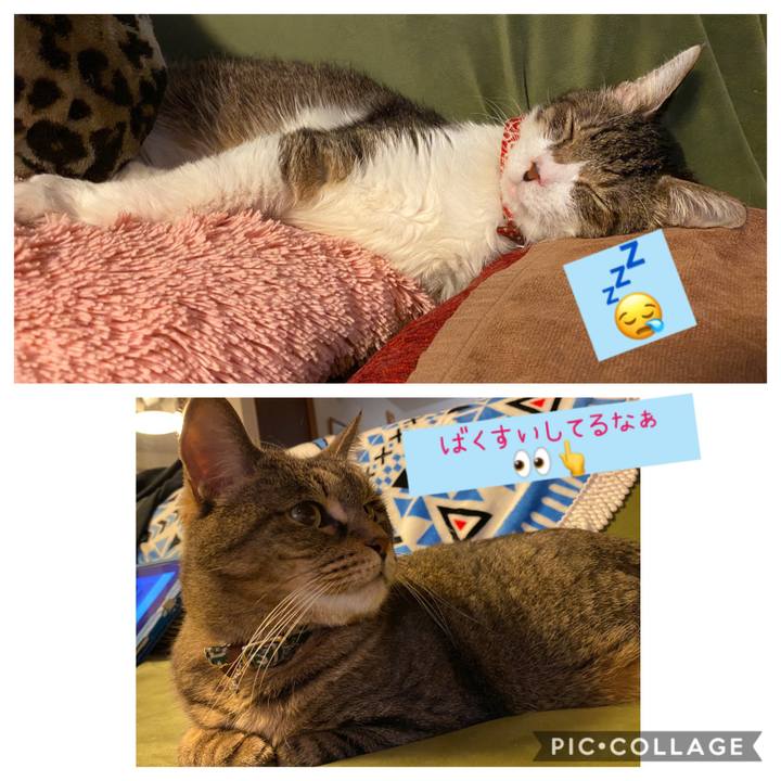 E0fcdd89 a14e 4d69 ba83 bd05a376eadd 1583671196425