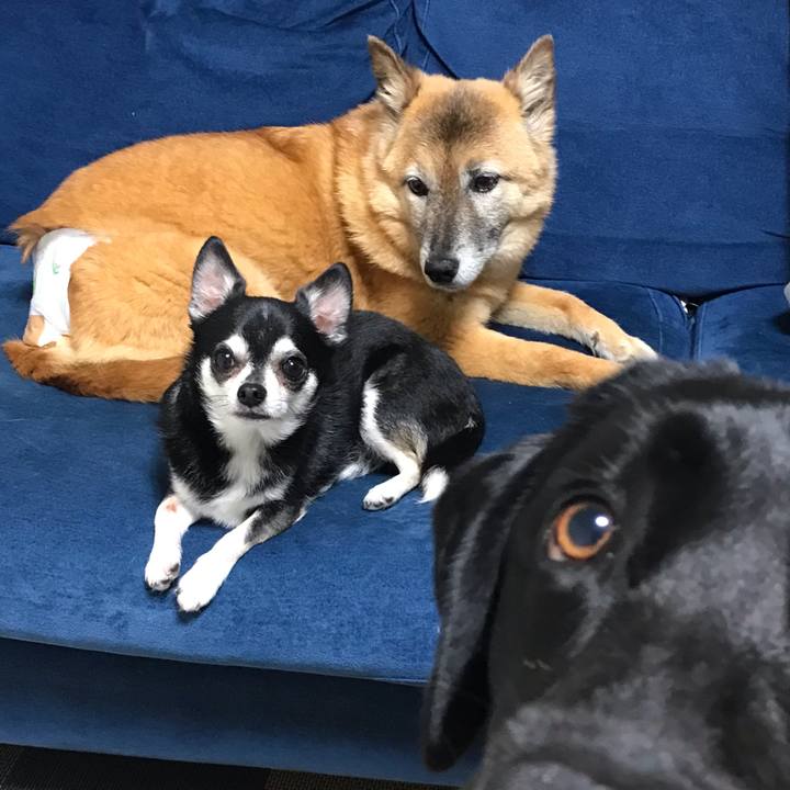 E0fd65ab 9184 4684 ac2c c86212a93870 1564832845272