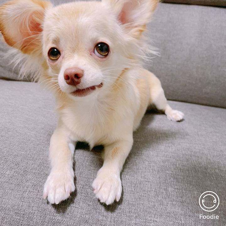 E0fd8e3e 1f10 4fcf 80cc a5716b479d88 1602151342912